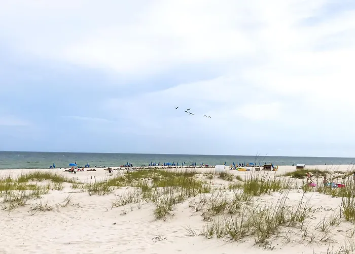 Romar 205 Gulf Shores